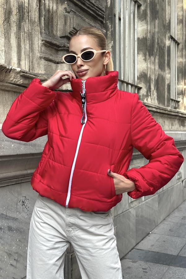 Kırmızı Sırtı Taş Baskılı Dik Yaka Kısa Şişme Mont